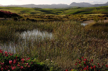 PAESAGGIO SICILIANO nel luogo delle macalube in Sicilia. Fotografie di Giulio Azzarello &copy;2014.