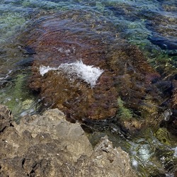 BAIA DEL CORALLO. Fotografie di Giulio Azzarello &copy;2022.