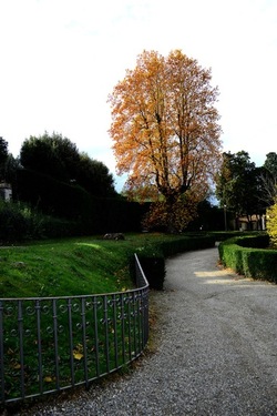 FIRENZE PALAZZO PITTI e GIARDINO DI BOBOLI. Fotografie di Giulio Azzarello &copy;2022.