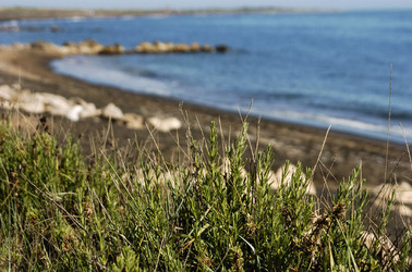 ARTE CONTEMPORANEA A PIRGI sito e riserva archeologica. Fotografie di Giulio Azzarello &copy;2014.