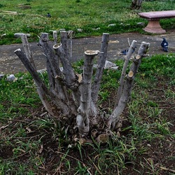 TRONCHI. Fotografie di Giulio Azzarello ©2022.