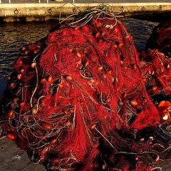 RETI DA PESCA. Fotografie di Giulio Azzarello &copy;2022.