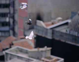 ISTAMBUL in Turchia panoramiche e particoalri. Fotografie di Giulio Azzarello &copy;2014.