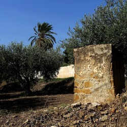 SELINUNTE. Fotografie di Giulio Azzarello ©2022. SELINUNTE. Fotografie di Giulio Azzarello ©2022.