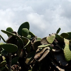 TERRASINI. Fotografie di Giulio Azzarello &copy;2022.