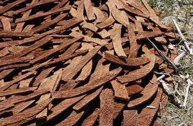 ARTE CONTEMPORANEA A PIRGI sito e riserva archeologica. Fotografie di Giulio Azzarello &copy;2014.