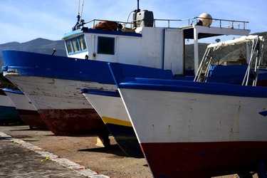 FEBBRAIO Fotografie di Giulio Azzarello &copy;2022.