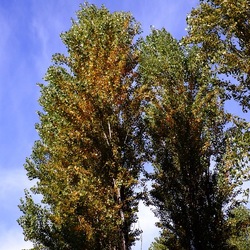 ROMA fotografie di Giulio Azzarello &copy;2022.