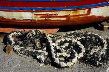 FEBBRAIO Fotografie di Giulio Azzarello &copy;2022.