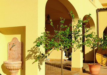 TENUTA vitivinicola in Sicilia. Fotografie di Giulio Azzarello ©2016. TENUTA vitivinicola in Sicilia. Fotografie di Giulio Azzarello ©2016.