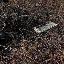 RAMI E ROVI. Fotografie di Giulio Azzarello ©2023. RAMI E ROVI. Fotografie di Giulio Azzarello ©2023.