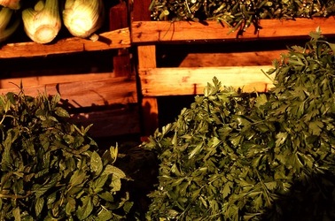 VUCCIRIA anni 90. Fotografie di Giulio Azzarello ©2022. VUCCIRIA anni 90. Fotografie di Giulio Azzarello ©2022.