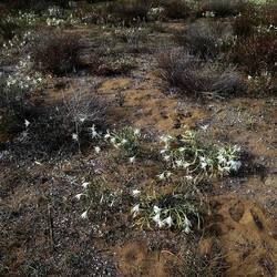 SELINUNTE. Fotografie di Giulio Azzarello ©2022. SELINUNTE. Fotografie di Giulio Azzarello ©2022.