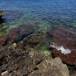 BAIA DEL CORALLO. Fotografie di Giulio Azzarello &copy;2022.