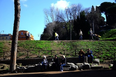PARCO ARCHEOLOGICO DEL PALATINO Roma. Fotografie di Giulio Azzarello ©2020.