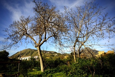 CAMPAGNA fotografie di Giulio Azzarello ©2020.
