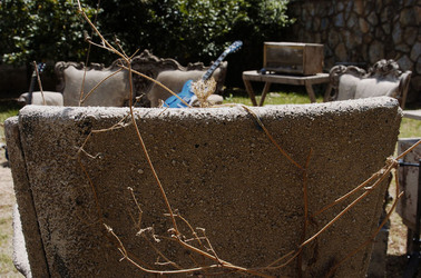 SCENOGRAFIA. Fotografie di Giulio Azzarello &copy;2014.