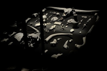 PADIGLIONE AFRICANO Biennale di Venezia. Fotografie di Giulio Azzarello &copy;2020.