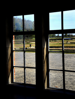AUSCHWITZ BIRKENAU il percorso della memoria e i documenti. Fotografie di Giulio Azzarello &copy;2016.