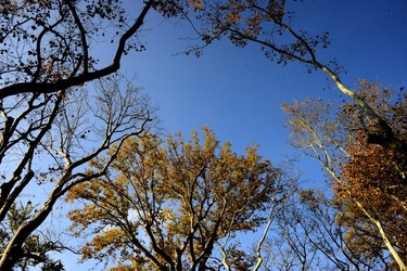 VENEZIA Giardini della Biennale di Arch. Cont.. Fotografie di Giulio Azzarello ©2022.