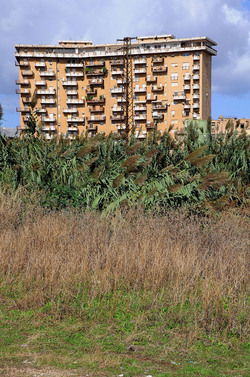 LA BONIFICA delle coste a Palermo una azione simbolica di Lega Ambiente Sicilia. Fotografie di Giulio Azzarello &copy;2014.