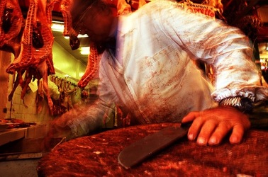 VUCCIRIA anni 90. Fotografie di Giulio Azzarello ©2022. VUCCIRIA anni 90. Fotografie di Giulio Azzarello ©2022.