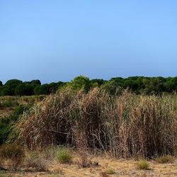 SELINUNTE. Fotografie di Giulio Azzarello ©2022. SELINUNTE. Fotografie di Giulio Azzarello ©2022.