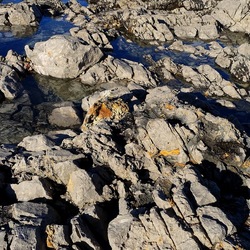 COSTA SICILIANA. Fotografie di Giulio Azzarello &copy;2022.