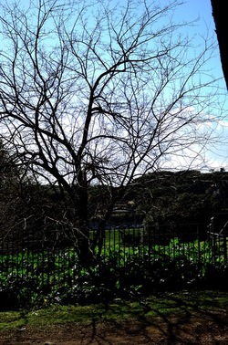 PARCO ARCHEOLOGICO DEL PALATINO Roma. Fotografie di Giulio Azzarello ©2020.