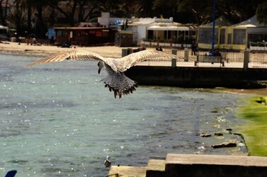 MONDELLO in Sicilia a Palermo. Fotografie di Giulio Azzarello ©2014.