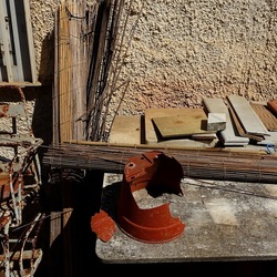 GIARDINO SICILIANO. Fotografie di Giulio Azzarello ©2022. GIARDINO SICILIANO. Fotografie di Giulio Azzarello ©2022.