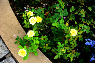 CAMPAGNA SICILIANA. Fotografie di Giulio Azzarello &copy;2016.
