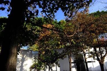 VENEZIA Giardini della Biennale di Arch. Cont.. Fotografie di Giulio Azzarello ©2022.