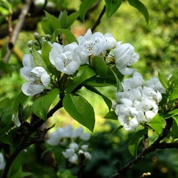OSSERVAZIONI. Fotografie di Giulio Azzarello ©2022. OSSERVAZIONI. Fotografie di Giulio Azzarello ©2022.