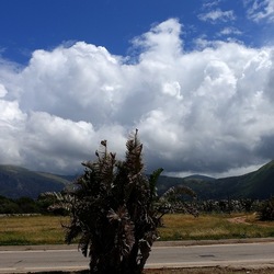 TERRASINI. Fotografie di Giulio Azzarello &copy;2022.