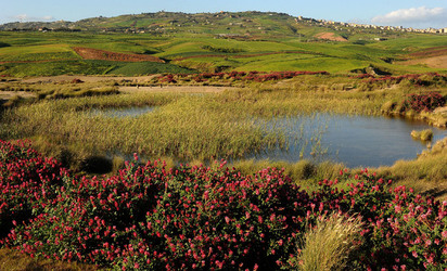 PAESAGGIO SICILIANO nel luogo delle macalube in Sicilia. Fotografie di Giulio Azzarello &copy;2014.