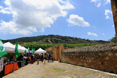 VIGNETO AGRITURISTICO PLANETA a Sambuca di Sicilia. Fotografie di Giulio Azzarello &copy;2014.