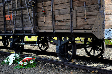 AUSCHIWITZ BIRKENAU il luogo della storia il campo. Fotografie di Giulio Azzarello &copy;2016.