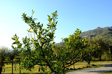 GOLE DELL ALCANTARA in Sicilia. Fotografie di Giulio Azzarello &copy;2016.