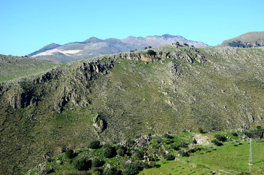 MACCHIA MEDITERRANEA in Sicilia. Fotografie di Giulio Azzarello &copy;2106.