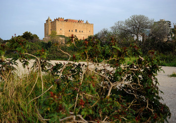 CANTIERI CULTURALI ALLA ZISA a Palermo. Fotografie di Giulio Azzarello &copy;2014.