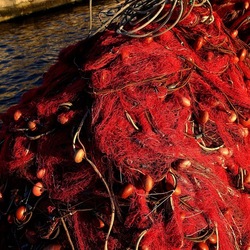 RETI DA PESCA. Fotografie di Giulio Azzarello &copy;2022.