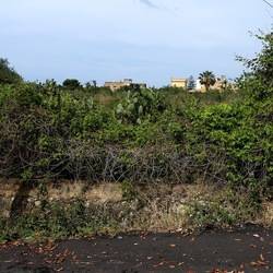 CAMMINANDO. Fotografie di Giulio Azzarello &copy;2024.