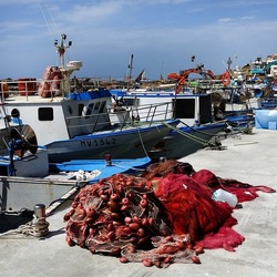 SELINUNTE. Fotografie di Giulio Azzarello &copy;2022.