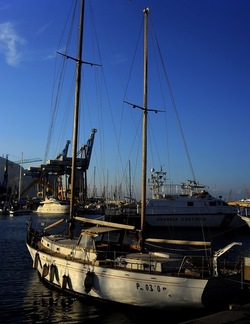 LA CALA di PALERMO fotografie di Giulio Azzarello ©2018. LA CALA di PALERMO fotografie di Giulio Azzarello ©2018.