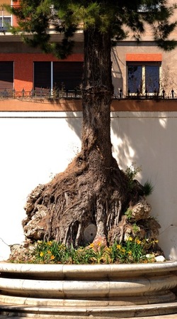 VILLA TRABIA Palermo. Fotografie di Giulio Azzarello ©2018. VILLA TRABIA Palermo. Fotografie di Giulio Azzarello ©2018.