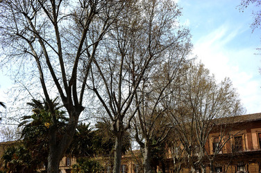 VILLA BONANNO a Palermo. Fotografie di Giulio Azzarello &copy;2016.