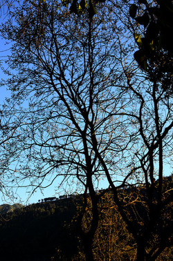 GOLE DELL ALCANTARA in Sicilia. Fotografie di Giulio Azzarello &copy;2016.