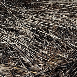 SELINUNTE. Fotografie di Giulio Azzarello ©2022. SELINUNTE. Fotografie di Giulio Azzarello ©2022.