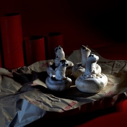 CARTONI ROSSI. Fotografie di Giulio Azzarello &copy;2023.